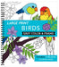 Large Print Easy Color & Frame - Birds (Adult Coloring Book) by New Seasons