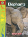 Elephants by Susan Yoder Ackerman, Jennie Hissom, Rachel Young
