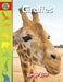Giraffes by Donna Latham, Teresa Owens Smith, Rachel Young
