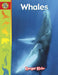 Whales by Agnieszka Biskup, John Bowen, Carla Kiwior
