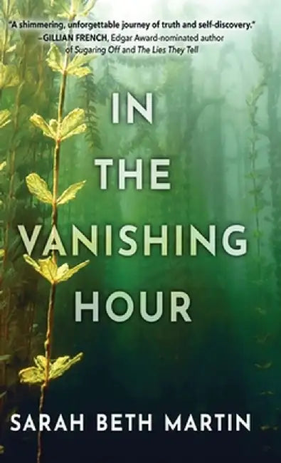 In the Vanishing Hour by Sarah Beth Martin