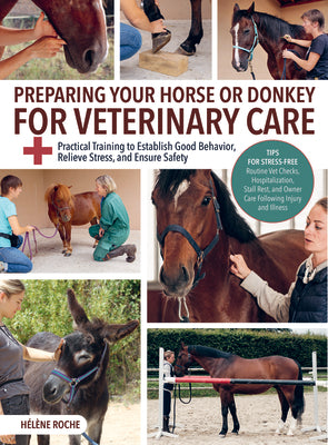 Preparing Your Horse and Donkey for Veterinary Care