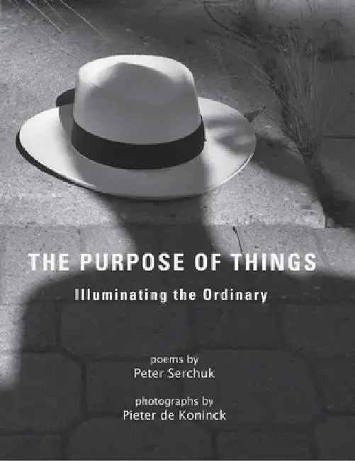 The Purpose of Things by Pieter de Koninck