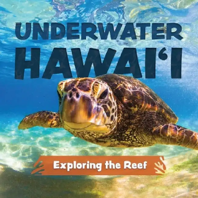 Underwater Hawai'i: Exploring the Reef: A Children's Picture Book about Hawai'i by Keith Riegert