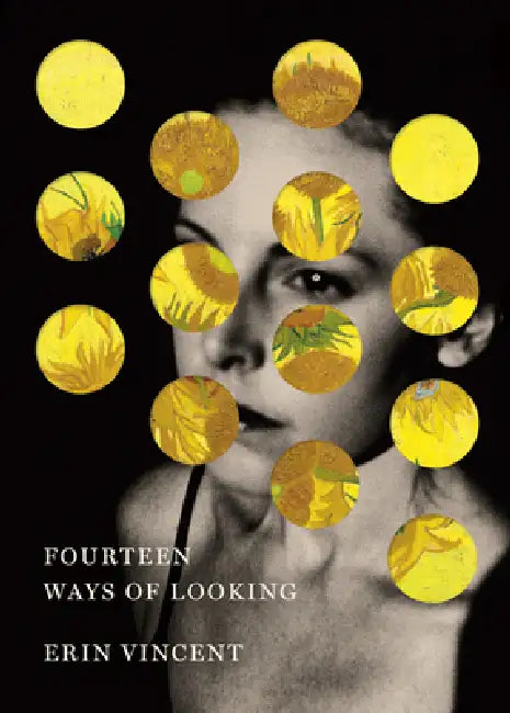 Fourteen Ways of Looking by Erin Vincent