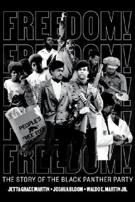 Freedom! the Story of the Black Panther Party by Jetta Grace Martin