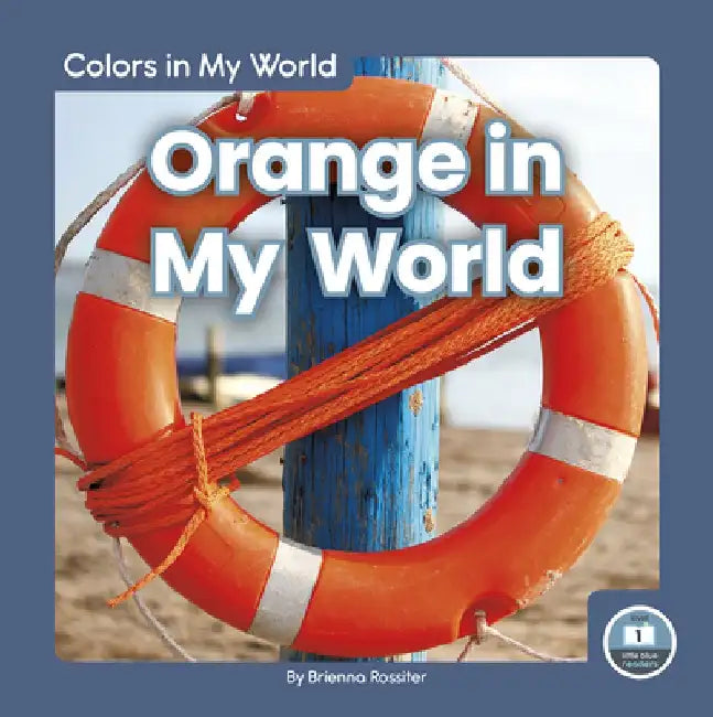 Orange in My World by Brienna Rossiter