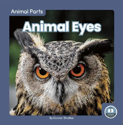 Animal Eyes by Connor Stratton