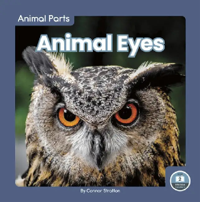 Animal Eyes by Connor Stratton