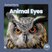 Animal Eyes by Connor Stratton