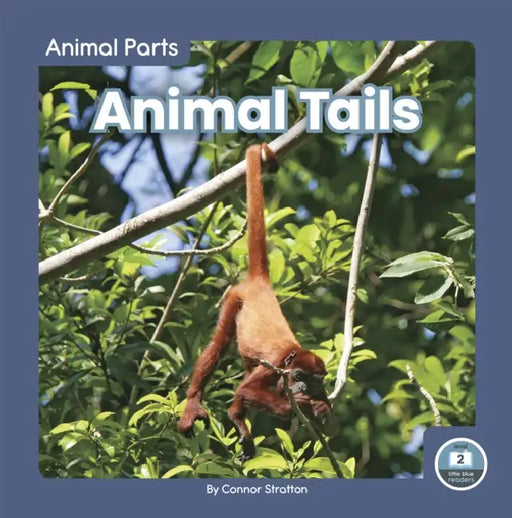 Animal Tails by Connor Stratton