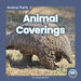 Animal Coverings by Connor Stratton