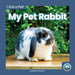 My Pet Rabbit by Brienna Rossiter