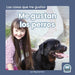 Me Gustan Los Perros (I Like Dogs) by Meg Gaertner