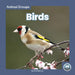 Birds by Nick Rebman
