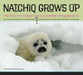 Natchiq Grows Up: The Story of an Alaska Ringed Seal Pup and Her Changing Home by Donna D. W. Hauser