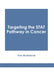 Targeting the Stat Pathway in Cancer by Finn McFarland