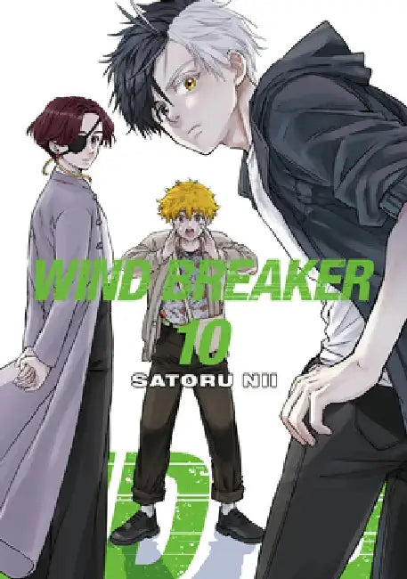 Wind Breaker 10 by Satoru Nii