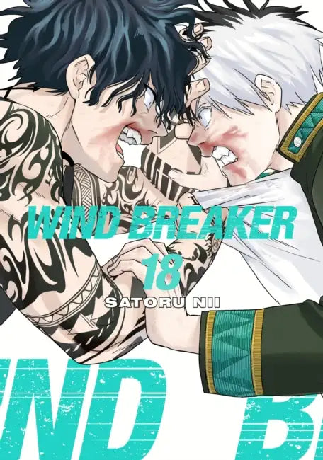 Wind Breaker 18 by Satoru Nii