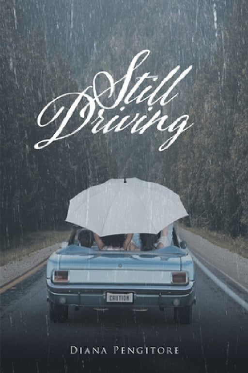 Still Driving by Diana Pengitore