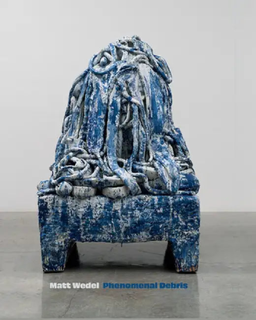 Matt Wedel: Phenomenal Debris by Matt Wedel