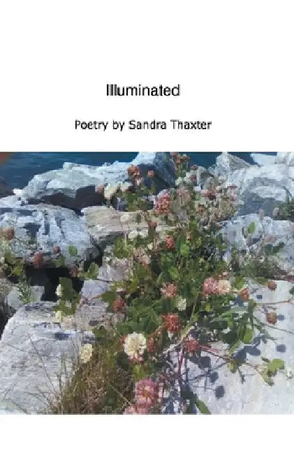 Illuminated by Sandra Thaxter