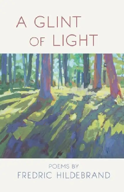 A Glint of Light by Fredric Hildebrand