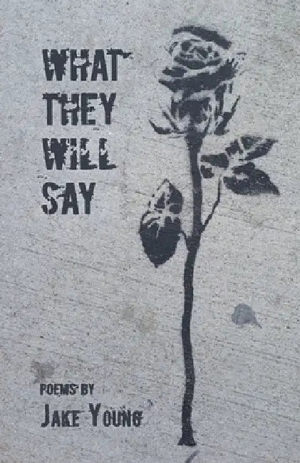 What They Will Say by Jake Young
