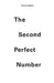 The Second Perfect Number by Joanna Solfrian