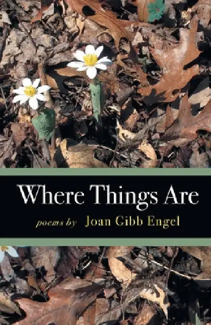 Where Things Are by Joan Engel