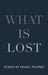 What Is Lost by Yehiel Poupko