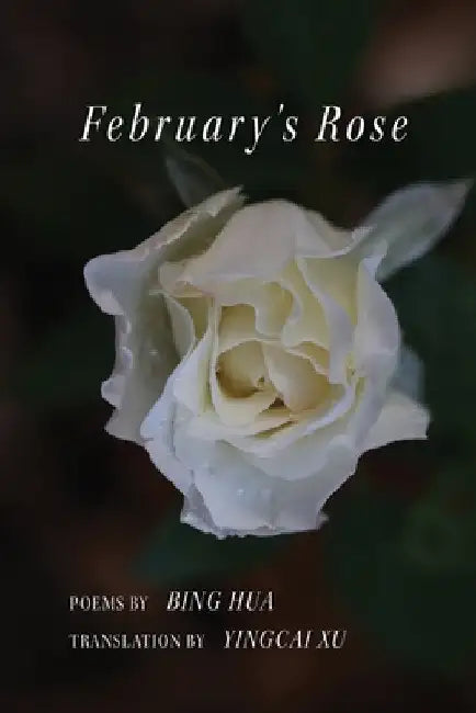 February's Rose by Bing Hua