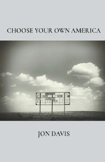 Choose Your Own America by Jon Davis