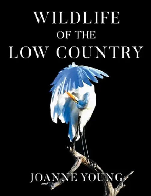 Wildlife of the Low Country by Joanne Young