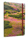 Refuge: Purple Fireweed Softcover Notebook: Kenai National Wildlife Refuge (Gifts for Outdoor Enthusiasts and Nature Lovers, Journals for Hikers, Nati by Insights