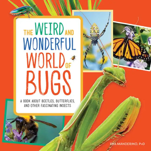 The Weird and Wonderful World of Bugs: A Book about Beetles, Butterflies, and Other Fascinating Insects by Rea, PhD Manderino
