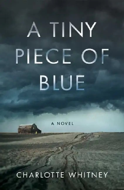 Tiny Piece of Blue by Charlotte Whitney