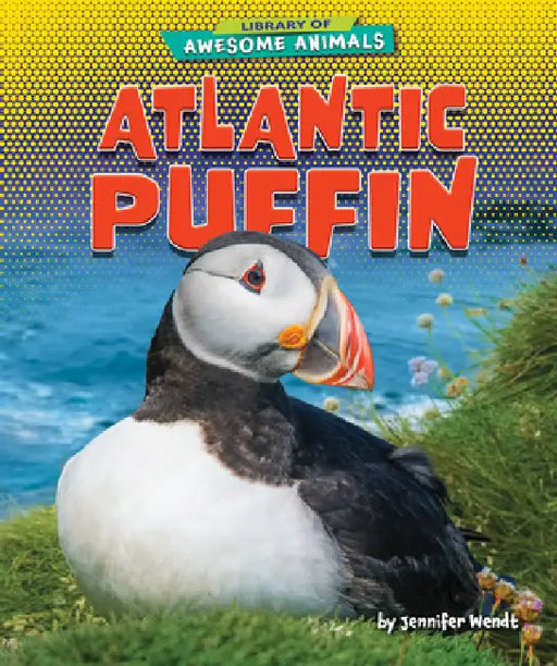 Atlantic Puffin by Jennifer Wendt