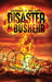 Disaster at Bushehr by Reginald Nelson