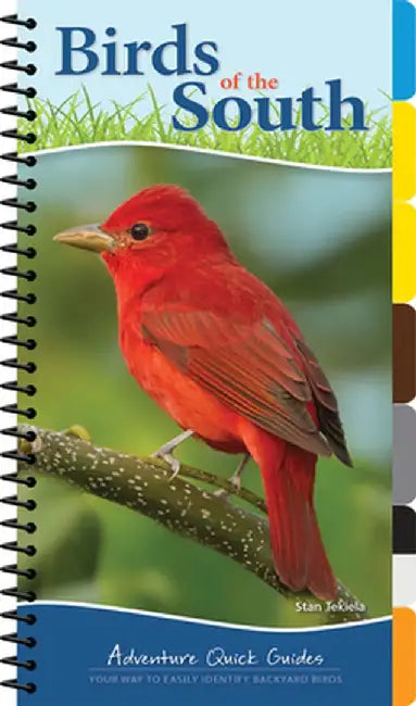 Birds of the South & Gulf States: Your Way to Easily Identify Backyard Birds