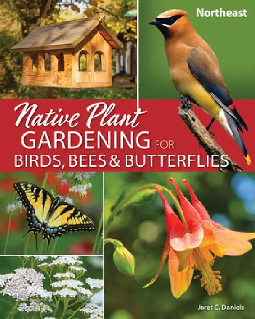 Native Plant Gardening for Birds, Bees & Butterflies: Northeast by Jaret C. Daniels