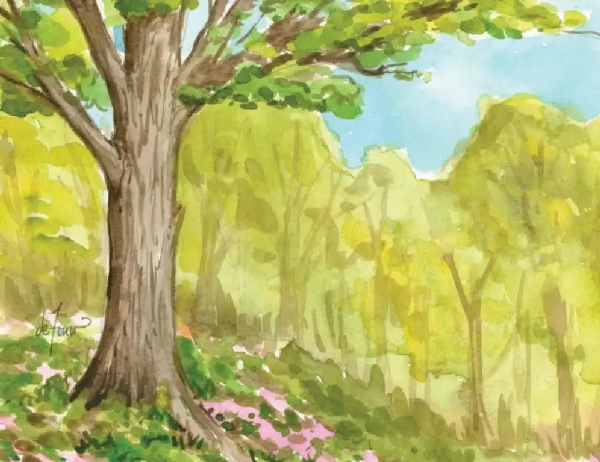 The Seasons Boxed Notecard Assortment by Jenny Defouw (CON) Geuder