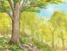 The Seasons Boxed Notecard Assortment by Jenny Defouw (CON) Geuder