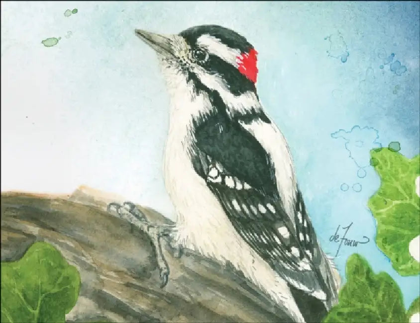 Backyard Birds Boxed Notecard Assortment by Jenny Defouw (CON) Geuder