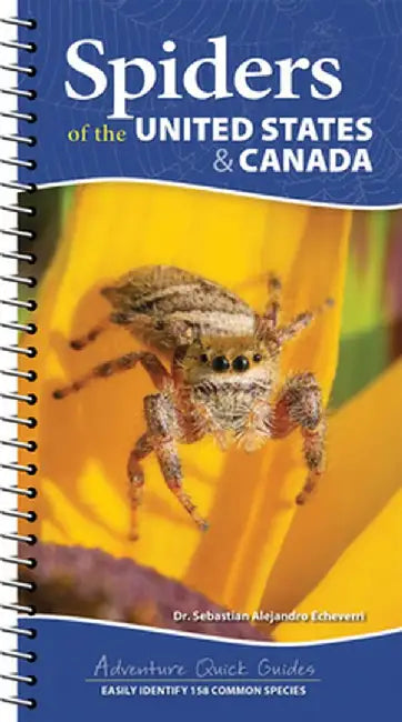 Spiders of the United States: A Guide to Common Species by Sebastian Echeverri