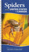 Spiders of the United States: A Guide to Common Species by Sebastian Echeverri