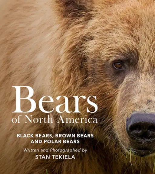 Bears of North America: Black Bears, Brown Bears, and Polar Bears by Stan Tekiela