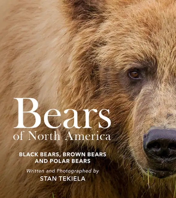 Bears of North America: Black Bears, Brown Bears, and Polar Bears by Stan Tekiela