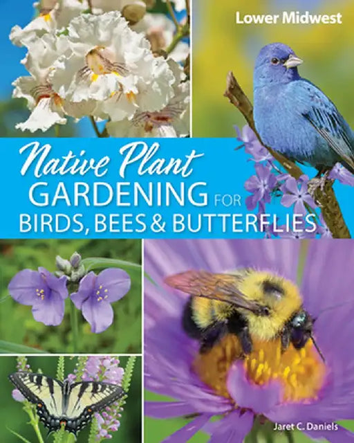 Native Plant Gardening for Birds, Bees & Butterflies: Lower Midwest by Jaret C. Daniels