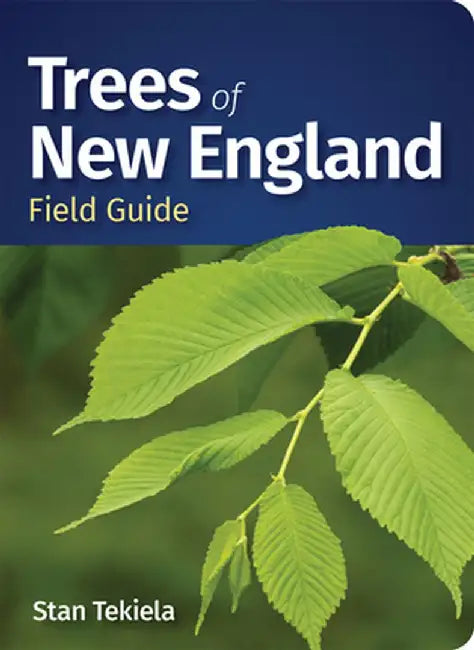 Trees of New England Field Guide by Stan Tekiela